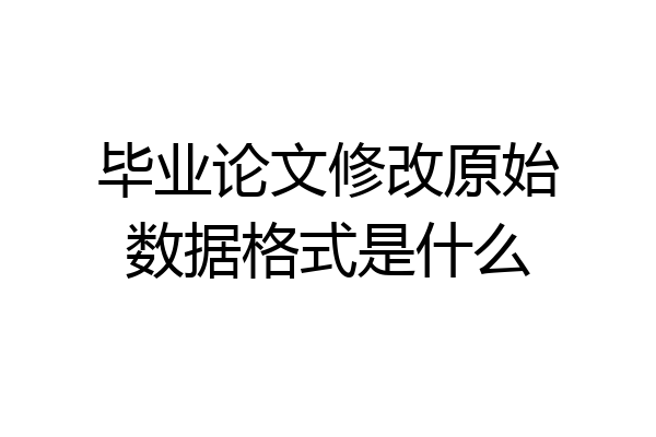 毕业论文修改原始数据格式是什么