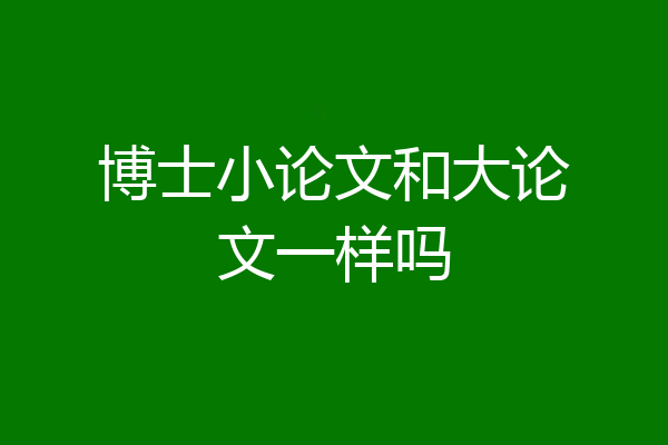 博士小论文和大论文一样吗