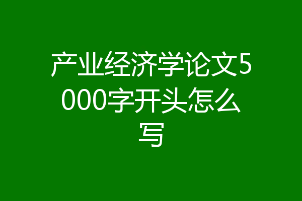 产业经济学论文5000字开头怎么写