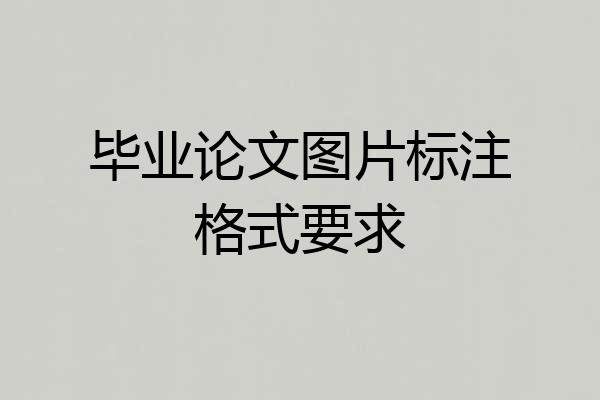 毕业论文图片标注格式要求