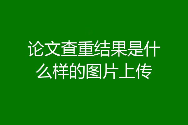 论文查重结果是什么样的图片上传