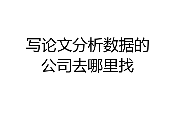 写论文分析数据的公司去哪里找