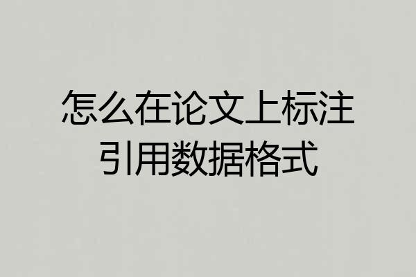 怎么在论文上标注引用数据格式
