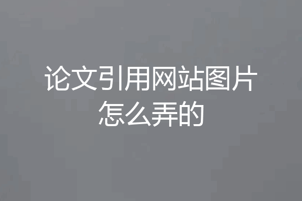 论文引用网站图片怎么弄的