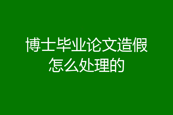 博士毕业论文造假怎么处理的