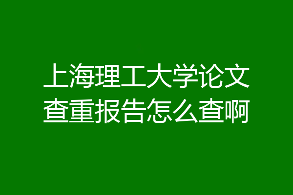 上海理工大学论文查重报告怎么查啊