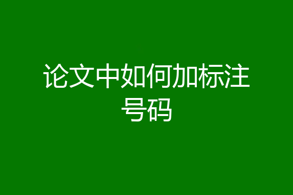 论文中如何加标注号码