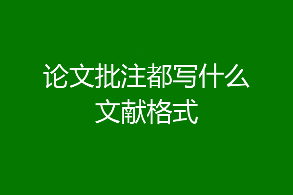 论文批注都写什么文献格式