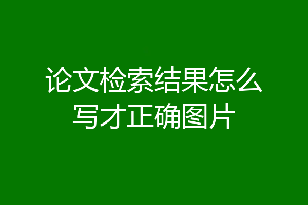 论文检索结果怎么写才正确图片