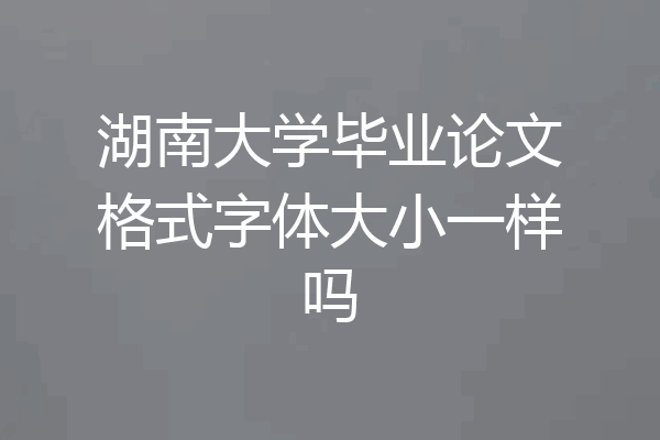 湖南大学毕业论文格式字体大小一样吗