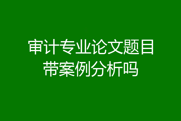 审计专业论文题目带案例分析吗