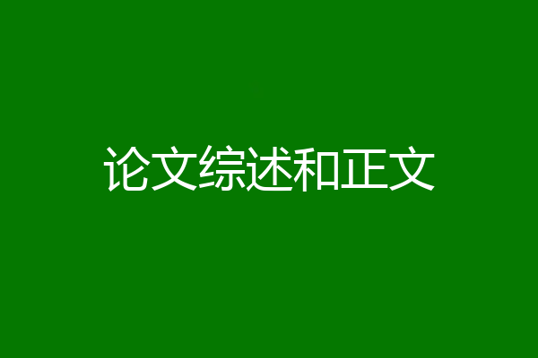 论文综述和正文