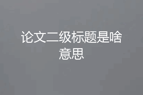 论文二级标题是啥意思