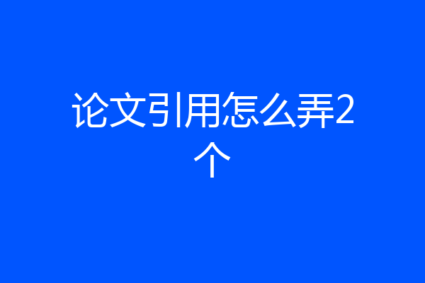 论文引用怎么弄2个
