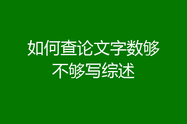如何查论文字数够不够写综述