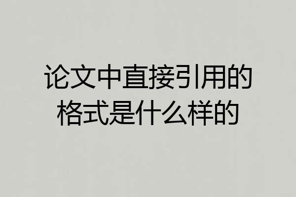 论文中直接引用的格式是什么样的