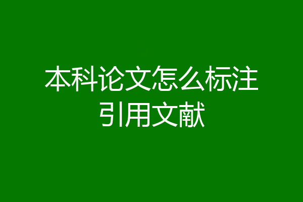 本科论文怎么标注引用文献