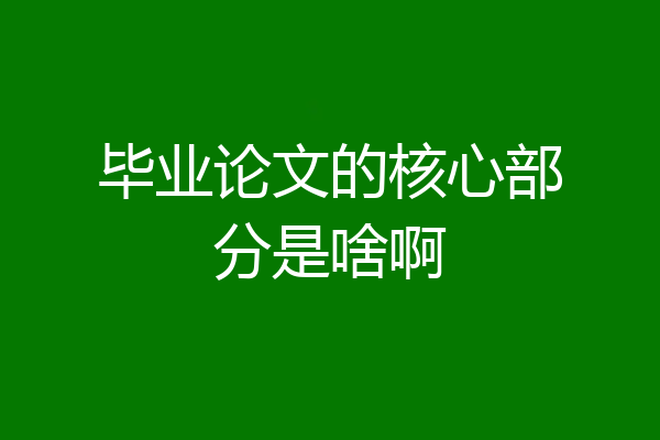 毕业论文的核心部分是啥啊