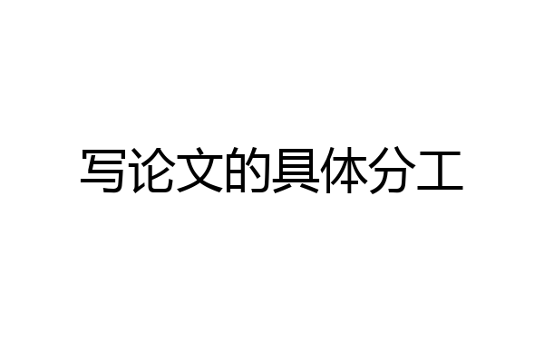 写论文的具体分工
