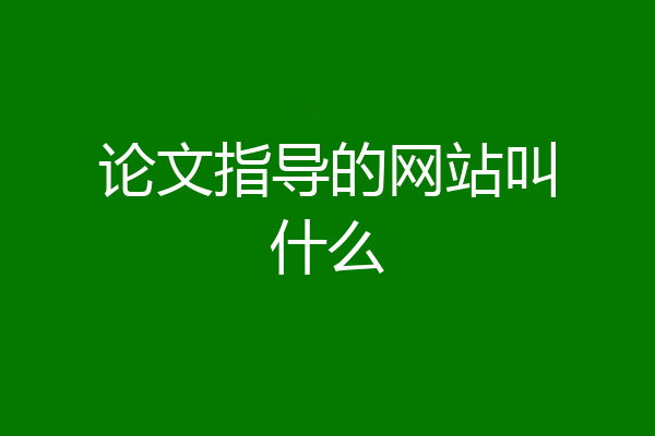 论文指导的网站叫什么
