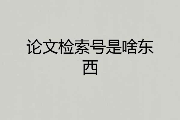 论文检索号是啥东西