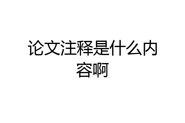 论文注释是什么内容啊