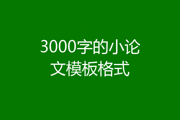 3000字的小论文模板格式