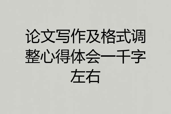 论文写作及格式调整心得体会一千字左右
