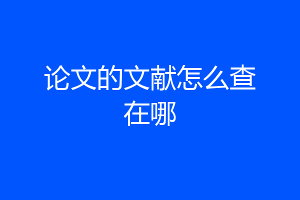 论文的文献怎么查在哪