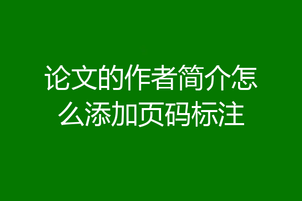 论文的作者简介怎么添加页码标注