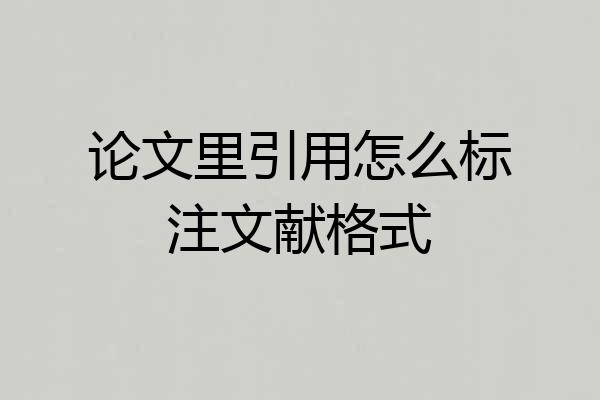论文里引用怎么标注文献格式