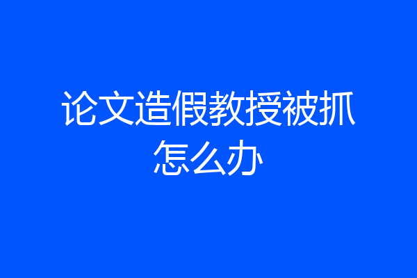 论文造假教授被抓怎么办