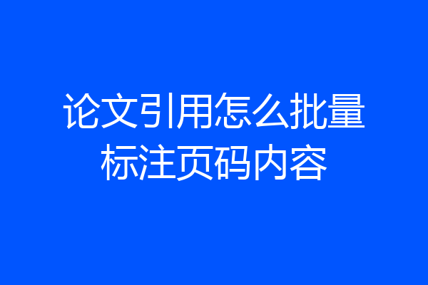 论文引用怎么批量标注页码内容