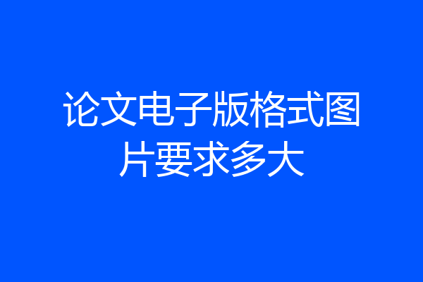 论文电子版格式图片要求多大