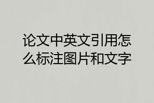 论文中英文引用怎么标注图片和文字