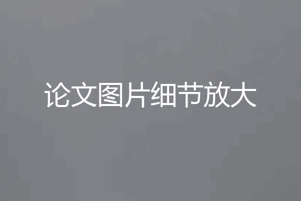 论文图片细节放大
