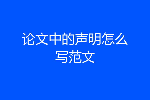 论文中的声明怎么写范文