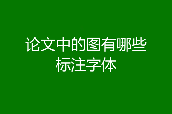 论文中的图有哪些标注字体