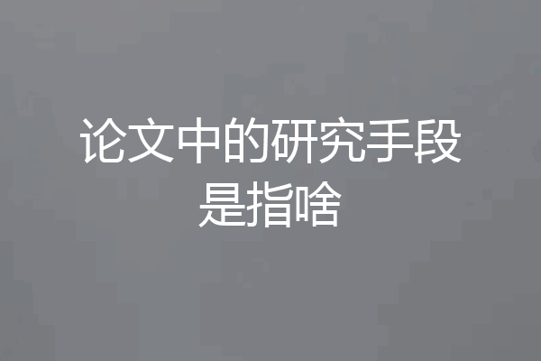 论文中的研究手段是指啥