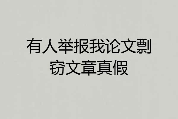 有人举报我论文剽窃文章真假