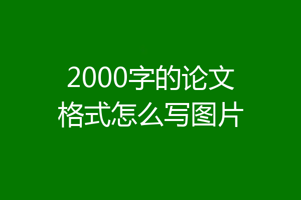 2000字的论文格式怎么写图片