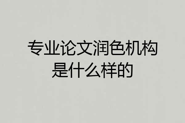 专业论文润色机构是什么样的