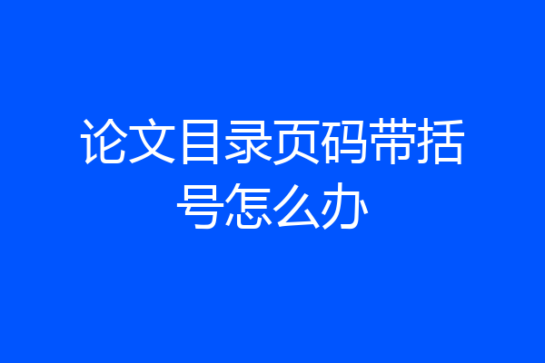 论文目录页码带括号怎么办