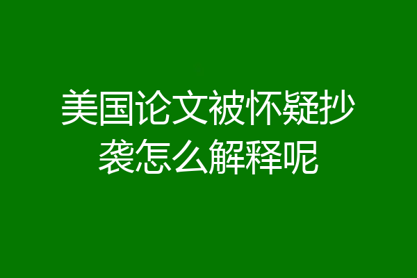 美国论文被怀疑抄袭怎么解释呢