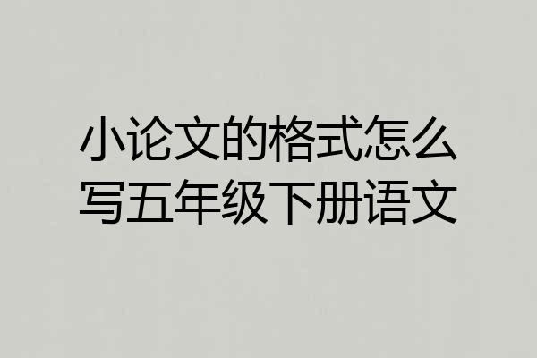 小论文的格式怎么写五年级下册语文