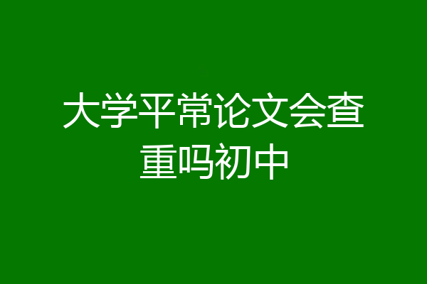 大学平常论文会查重吗初中