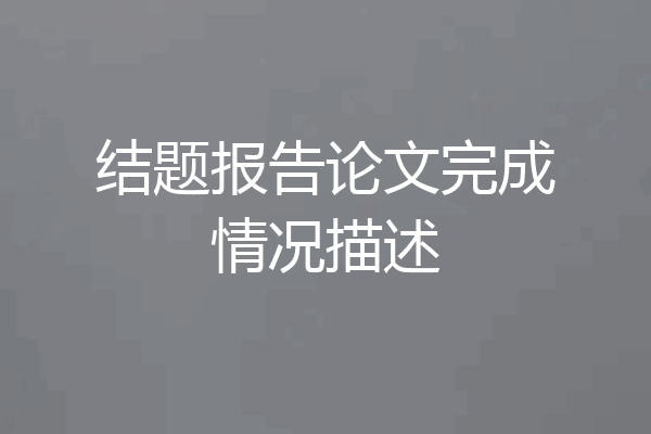 结题报告论文完成情况描述