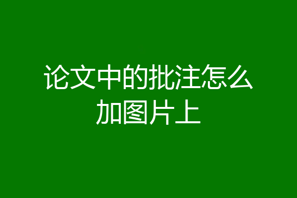 论文中的批注怎么加图片上
