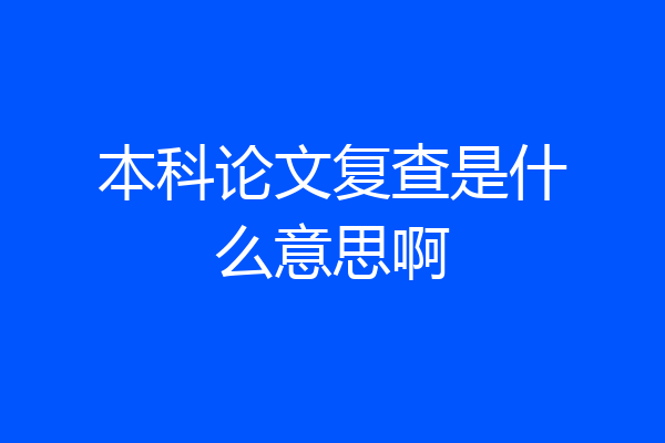 本科论文复查是什么意思啊