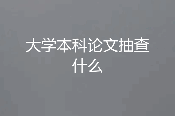大学本科论文抽查什么
